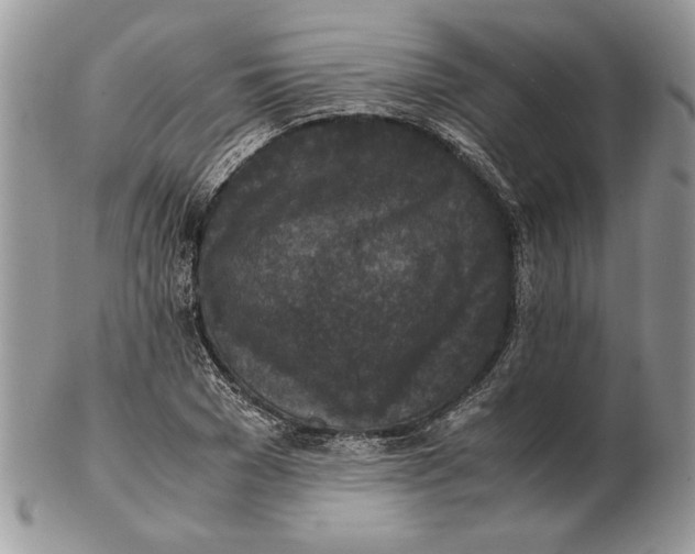 X0000102390977200808221821