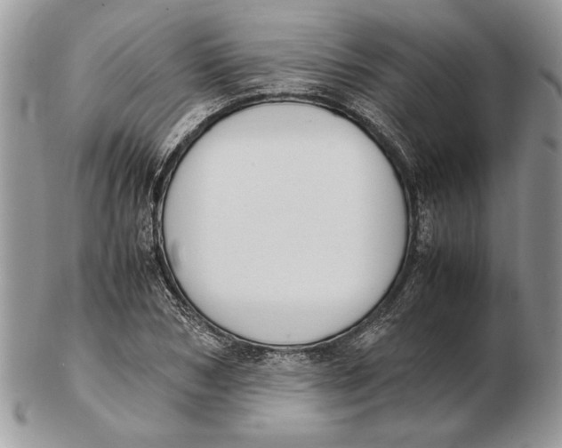 X0000102390978200808221821