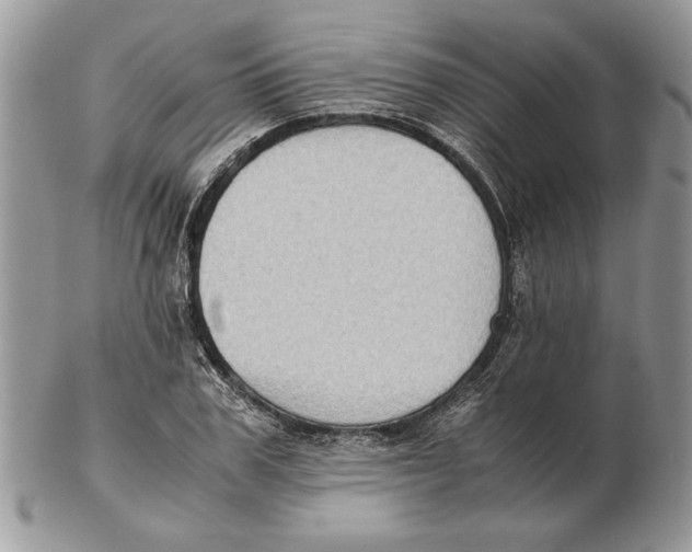 X0000102390979200808221821