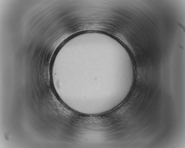 X0000102390980200808221821