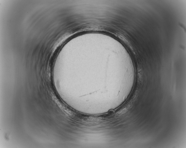 X0000102390981200808221821