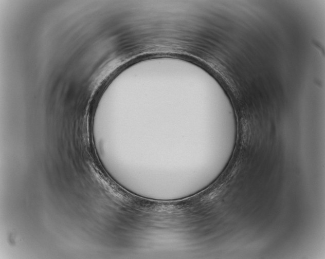 X0000102390982200808221821