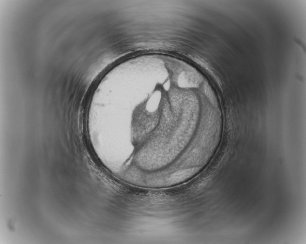 X0000102390983200808221821