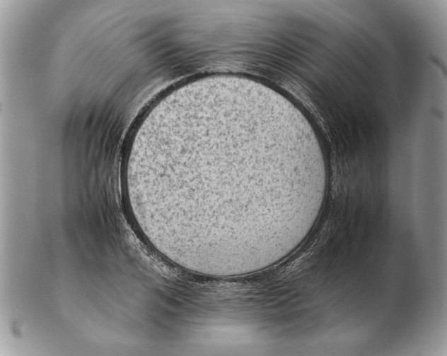 X0000102390984200808221821