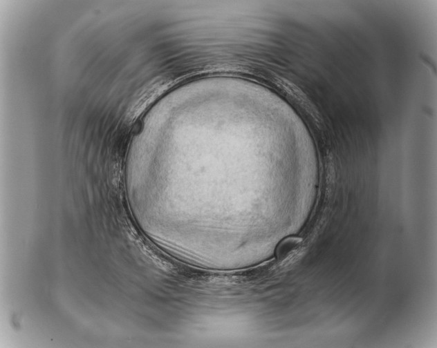 X0000102390985200808221821