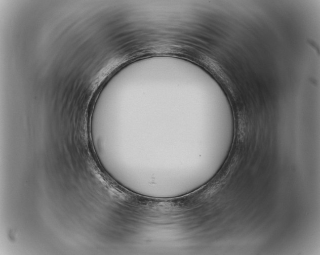 X0000102390986200808221821