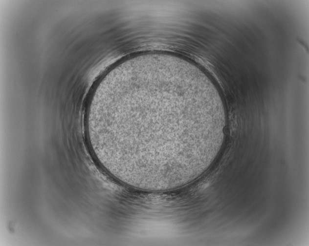 X0000102390987200808221821