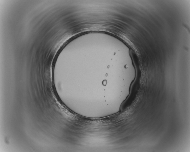 X0000102390988200808221821