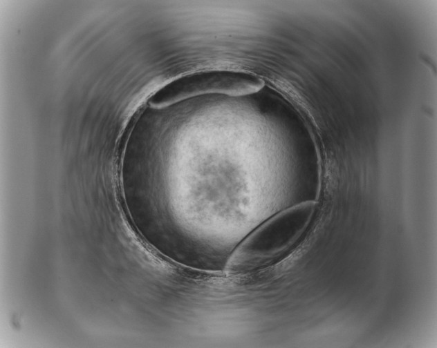 X0000102390989200808221821