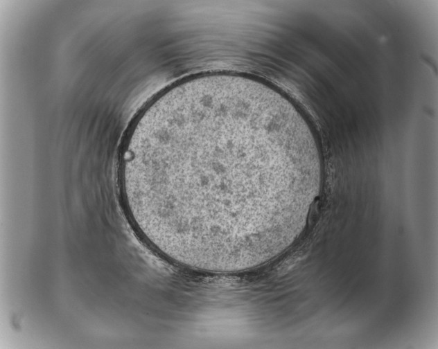 X0000102390991200808221821