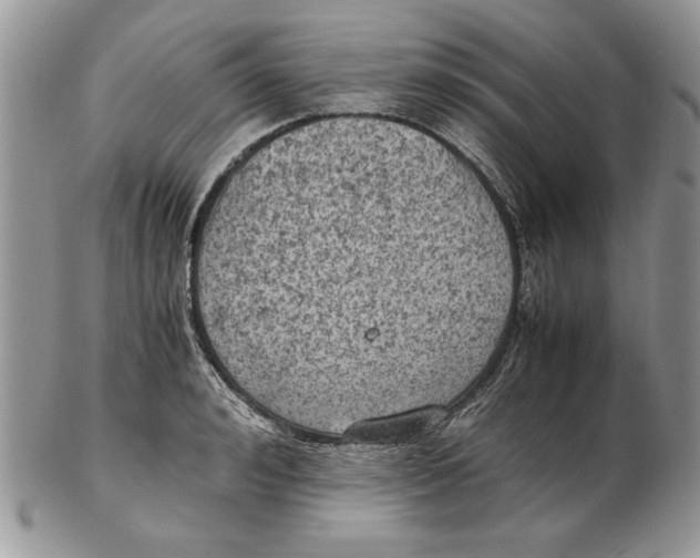 X0000102390992200808221821