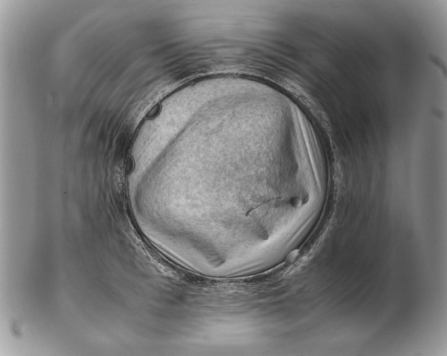 X0000102390993200808221821