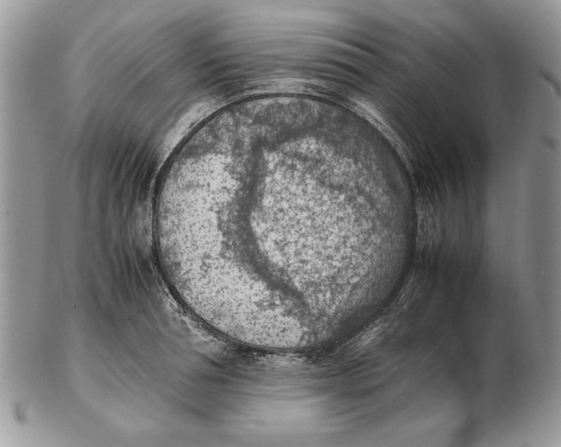 X0000102390994200808221821