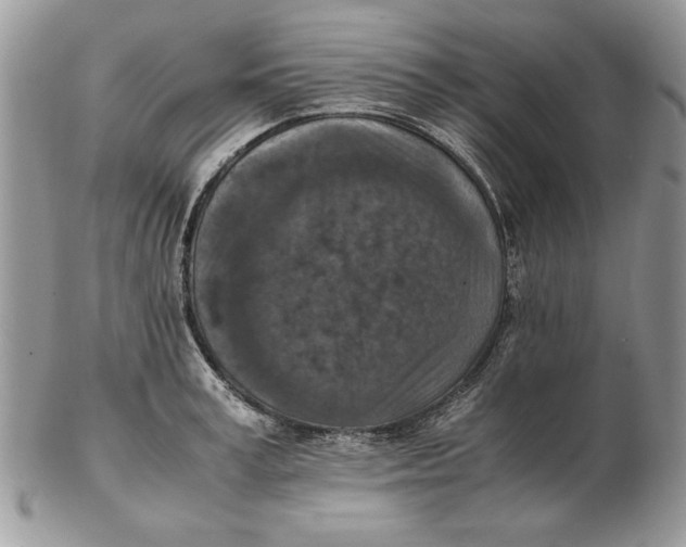 X0000102390995200808221821