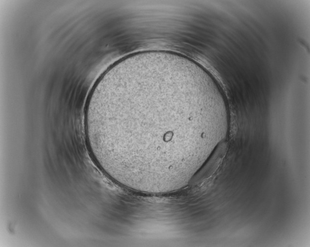 X0000102390996200808221821