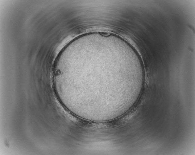 X0000102390997200808221821