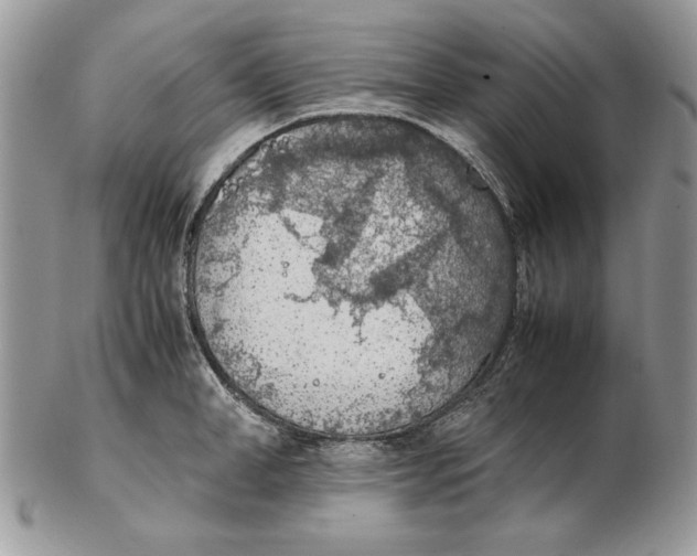 X0000102390998200808221821