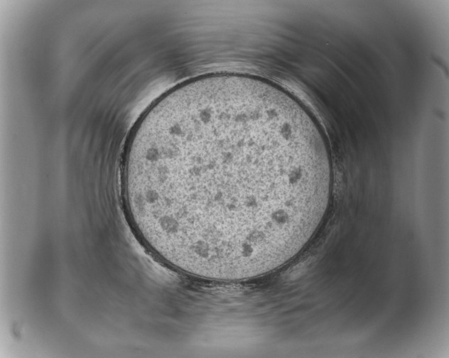 X0000102390999200808221821