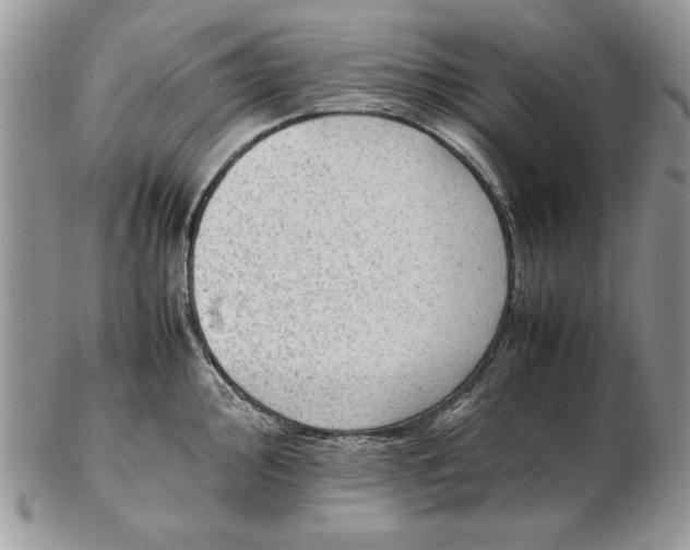 X0000102391000200808221821