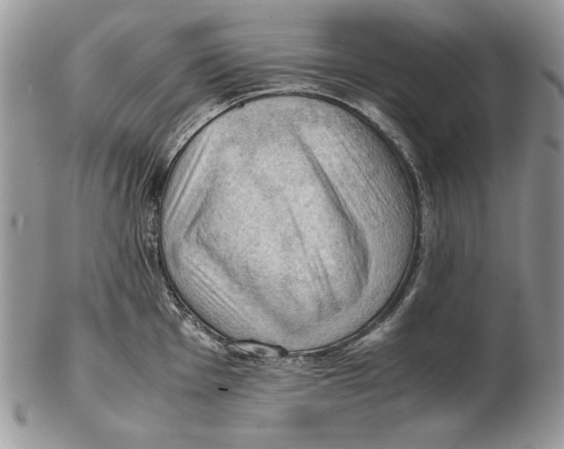 X0000102391001200808221821