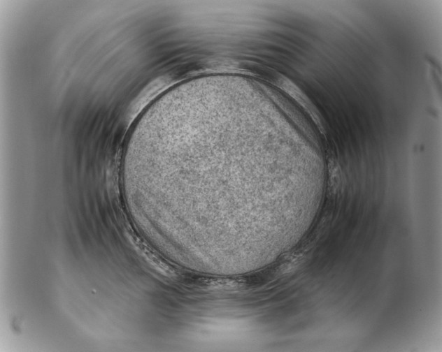 X0000102391002200808221821