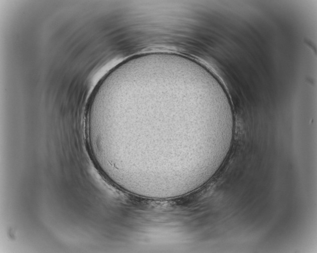 X0000102391003200808221821