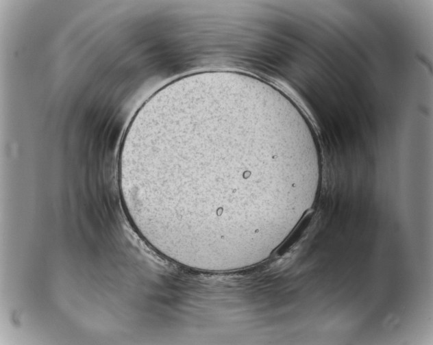 X0000102391004200808221821