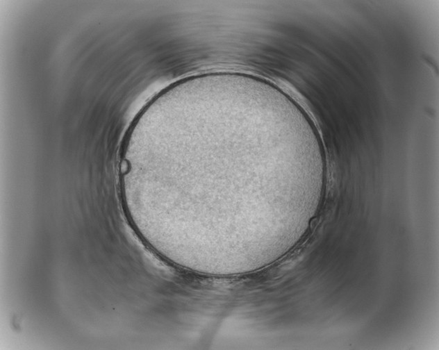 X0000102391005200808221821