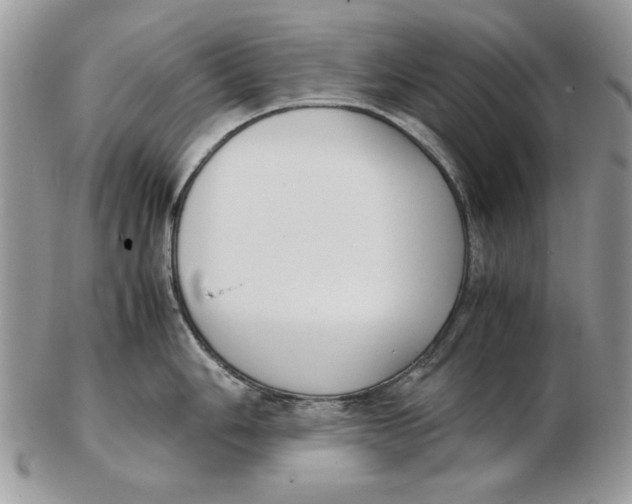 X0000102391006200808221821