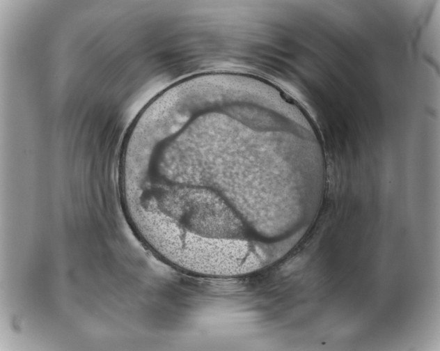 X0000102391007200808221821