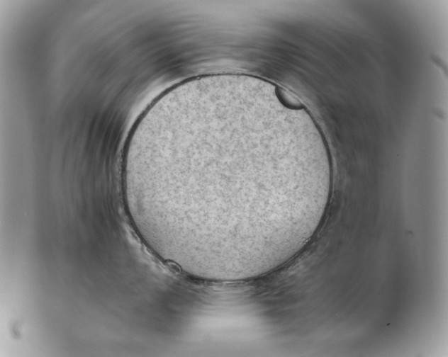 X0000102391008200808221821