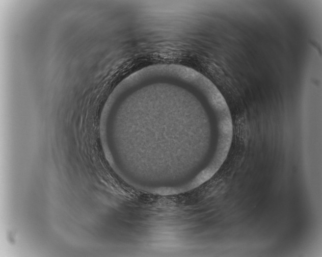 X0000102391009200808221820