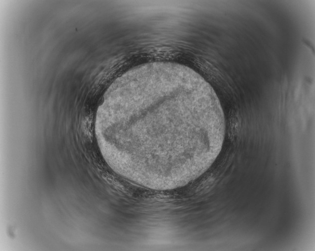 X0000102391010200808221820