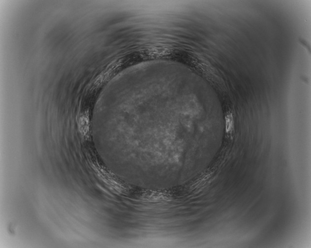 X0000102391011200808221820