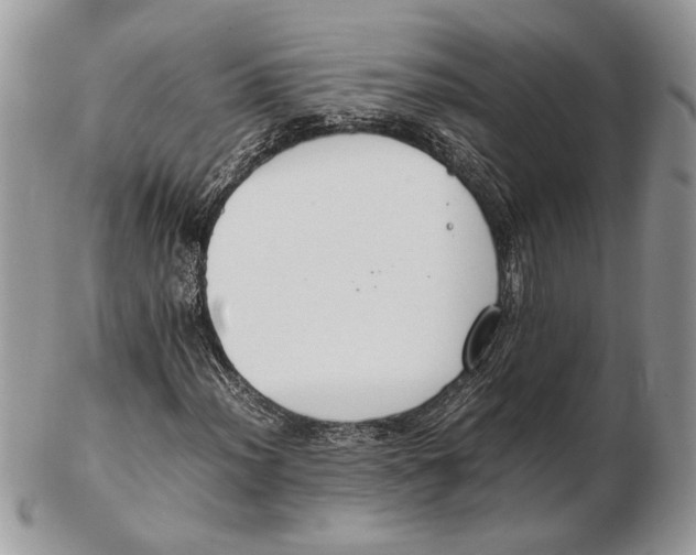 X0000102391012200808221820