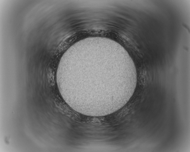 X0000102391013200808221820