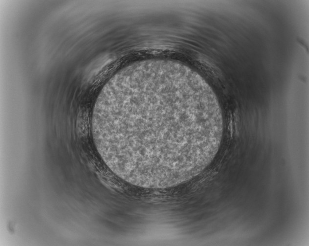 X0000102391014200808221820