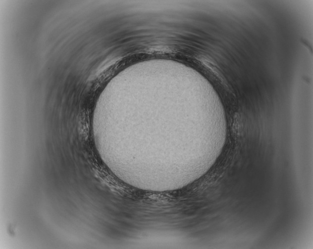 X0000102391015200808221820