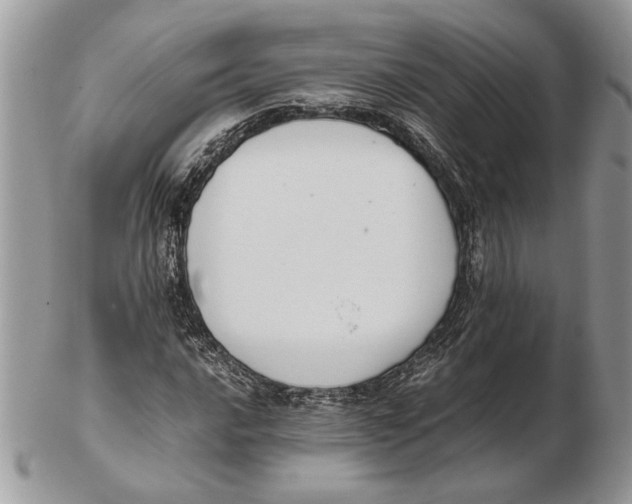 X0000102391016200808221820