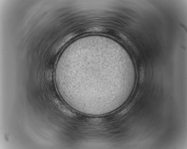 X0000102391017200808221820