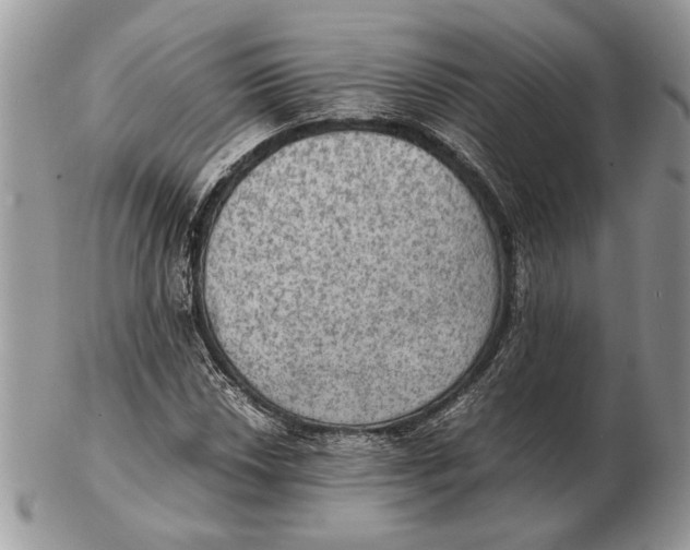 X0000102391018200808221820