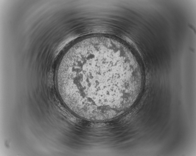 X0000102391019200808221820