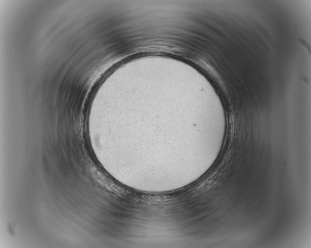 X0000102391020200808221820