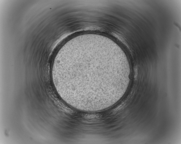 X0000102391021200808221820