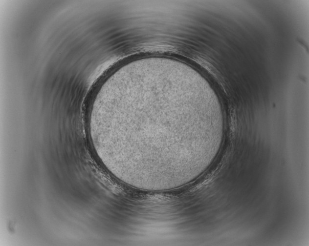 X0000102391022200808221820