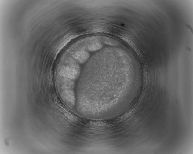 X0000102391023200808221820