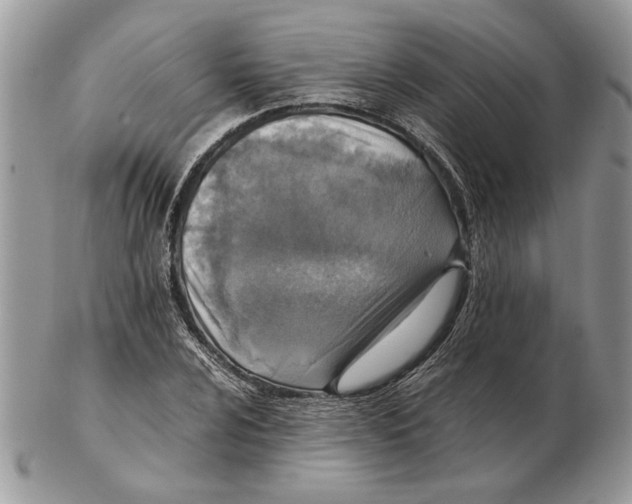 X0000102391024200808221820