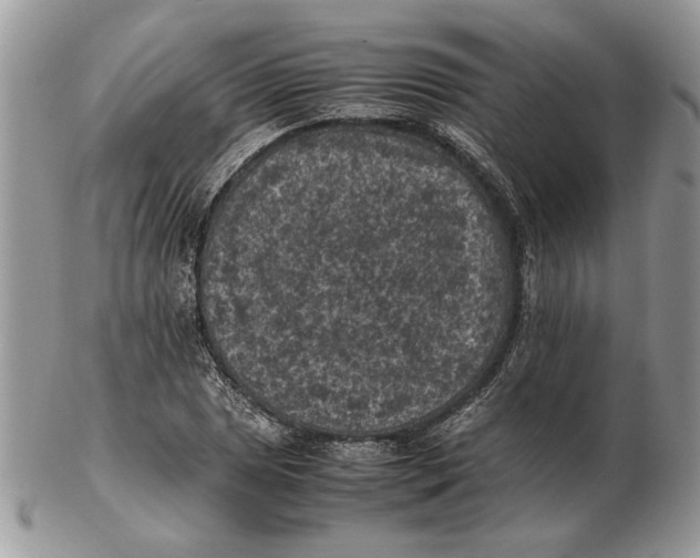 X0000102391025200808221820