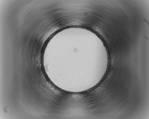 X0000102391026200808221820