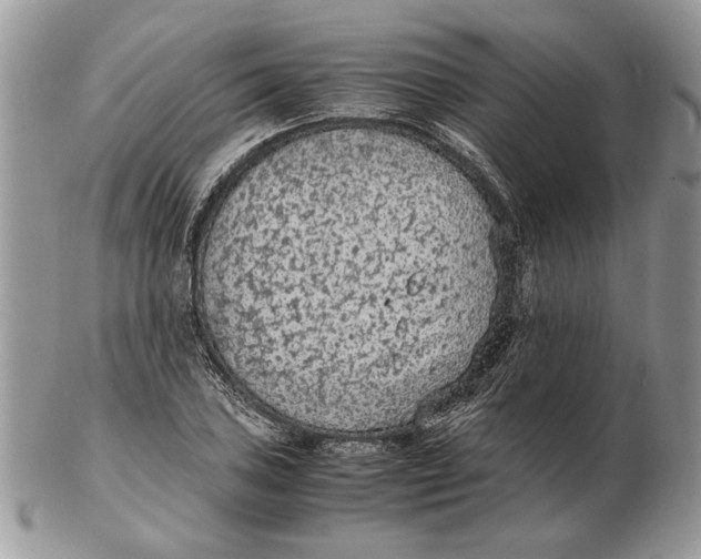 X0000102391027200808221820